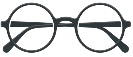 The Standard Company logo